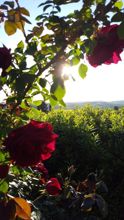 Sunset Hill - Tuscany - Villa & Private Pool Castelfiorentino Eksteriør bilde