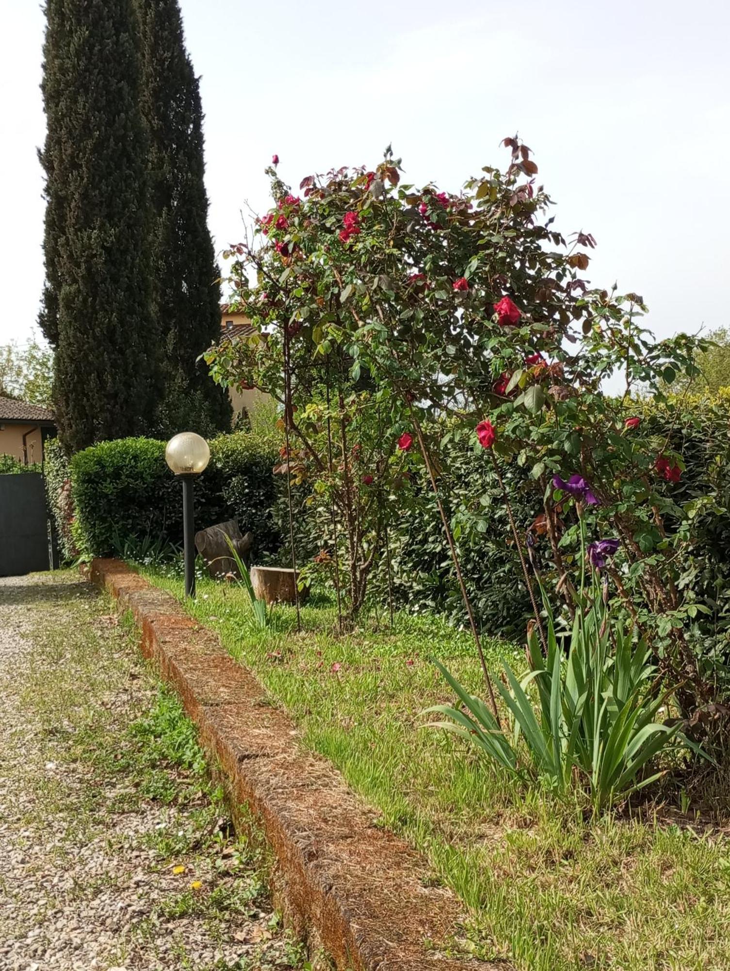 Sunset Hill - Tuscany - Villa & Private Pool Castelfiorentino Eksteriør bilde